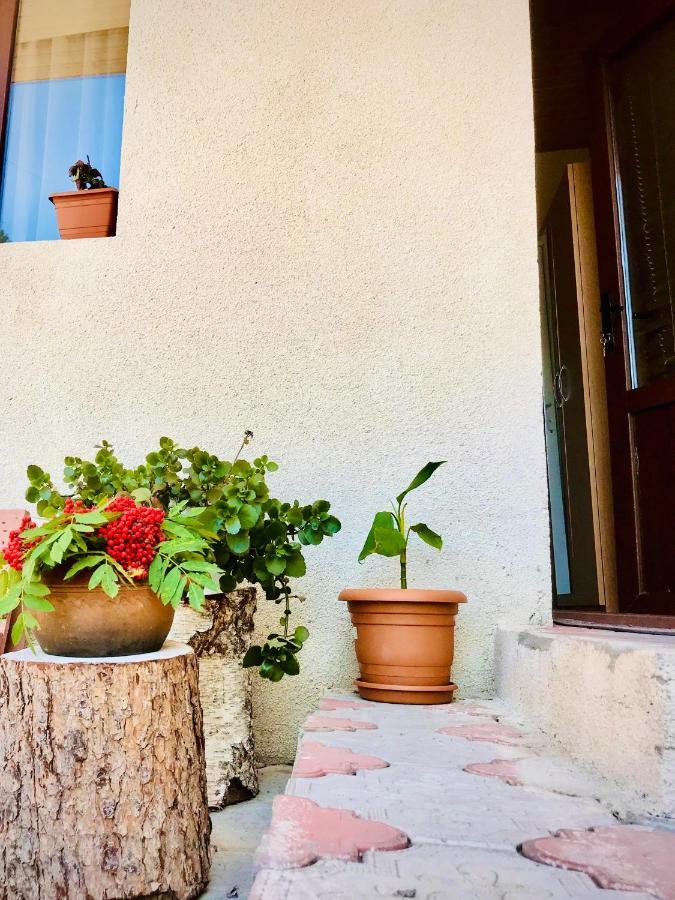 Guesthouse And Cottage Nicolo Kazbegi Extérieur photo