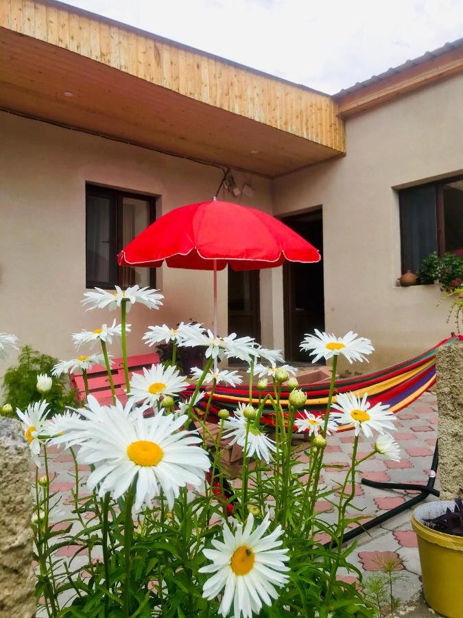 Guesthouse And Cottage Nicolo Kazbegi Extérieur photo